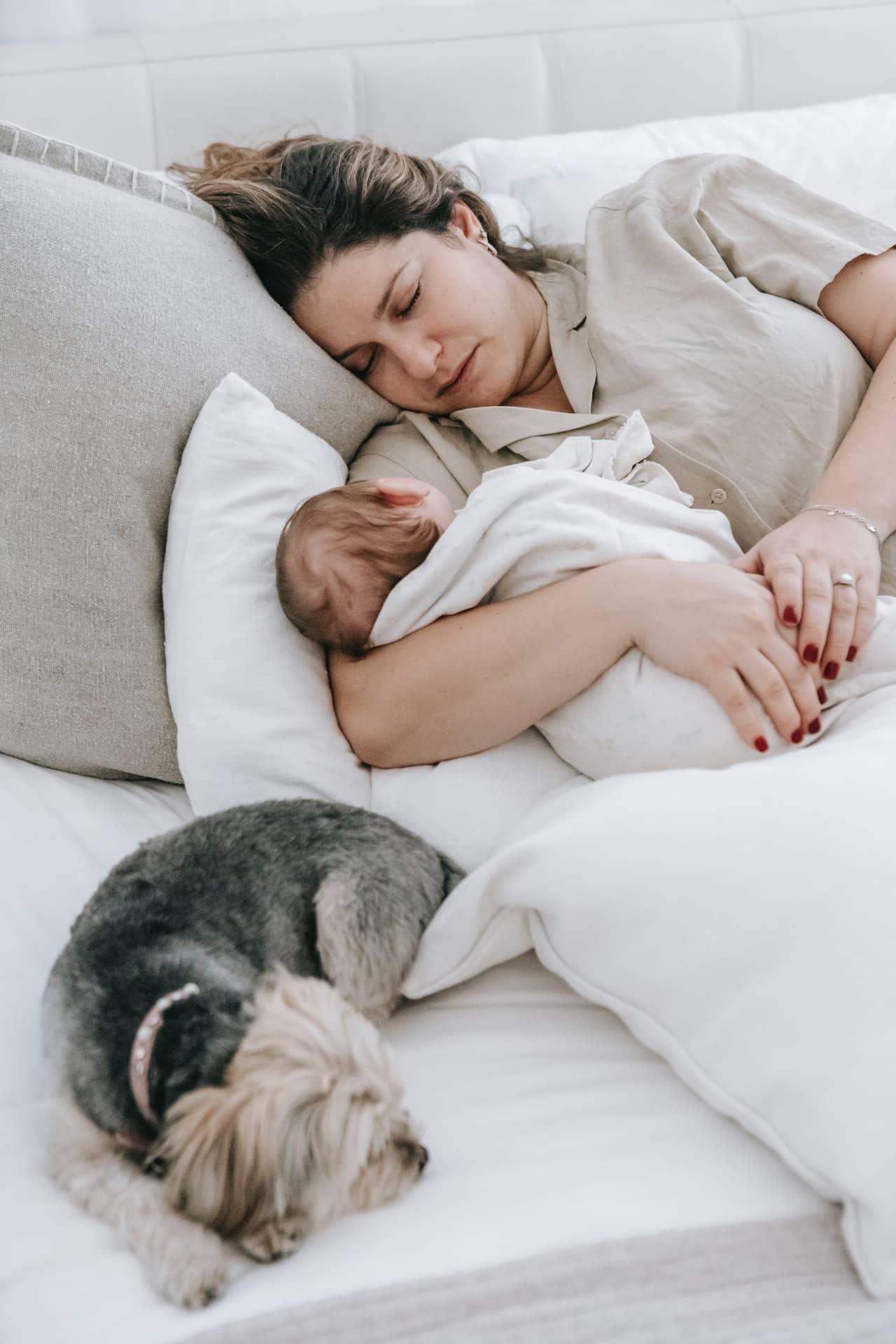 Mother laying in bed with new baby cradled in her arms. A small dog naps in the bed next to them.