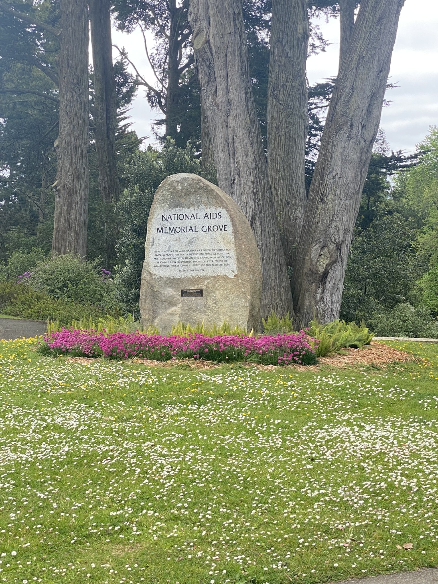 Photo of commemorative rock at the National AIDS Memorial Grove in Golden Gate Park, San Francisco