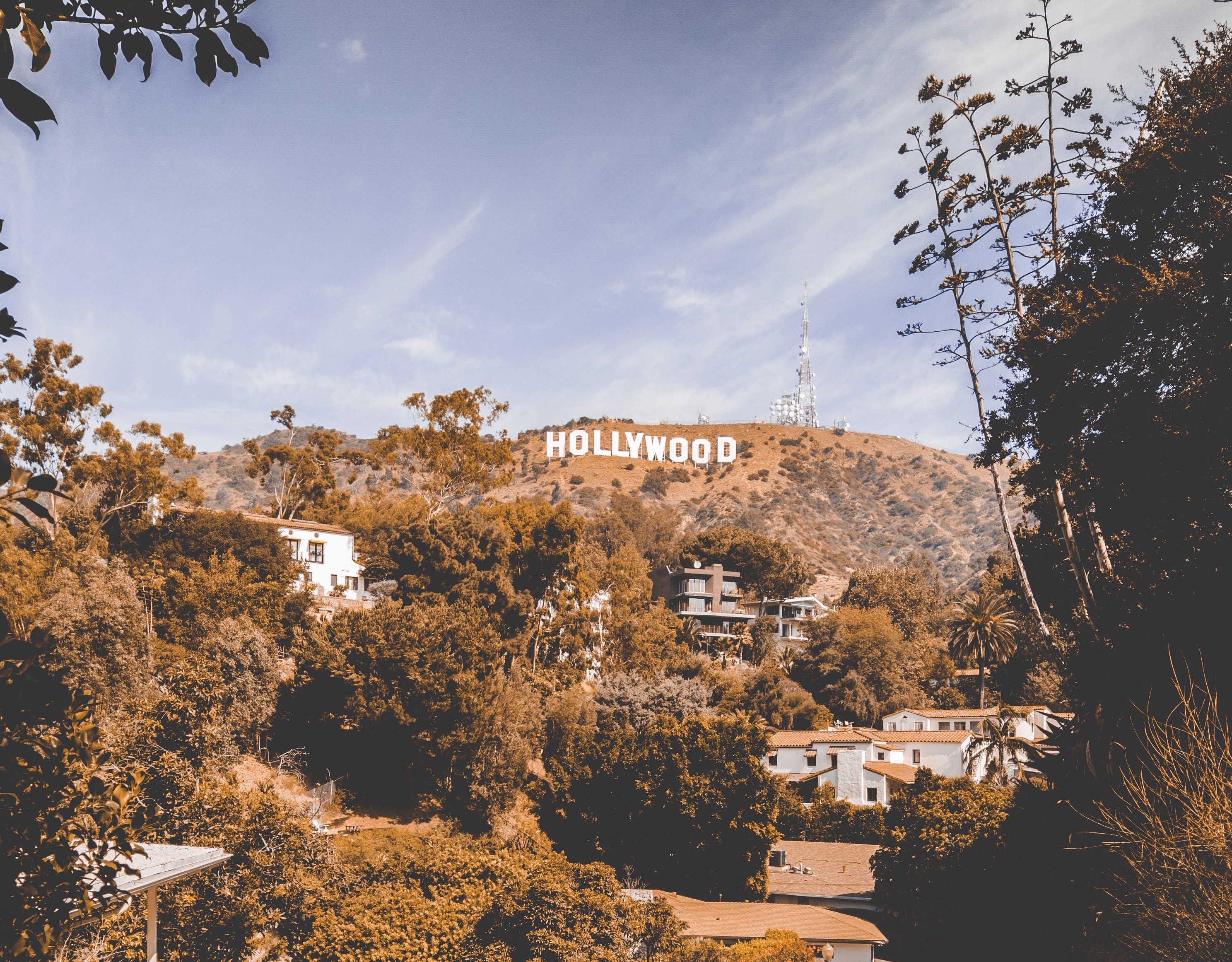 A photo showing a residential street in Los Angeles with the Hollywood sign visible in the background.