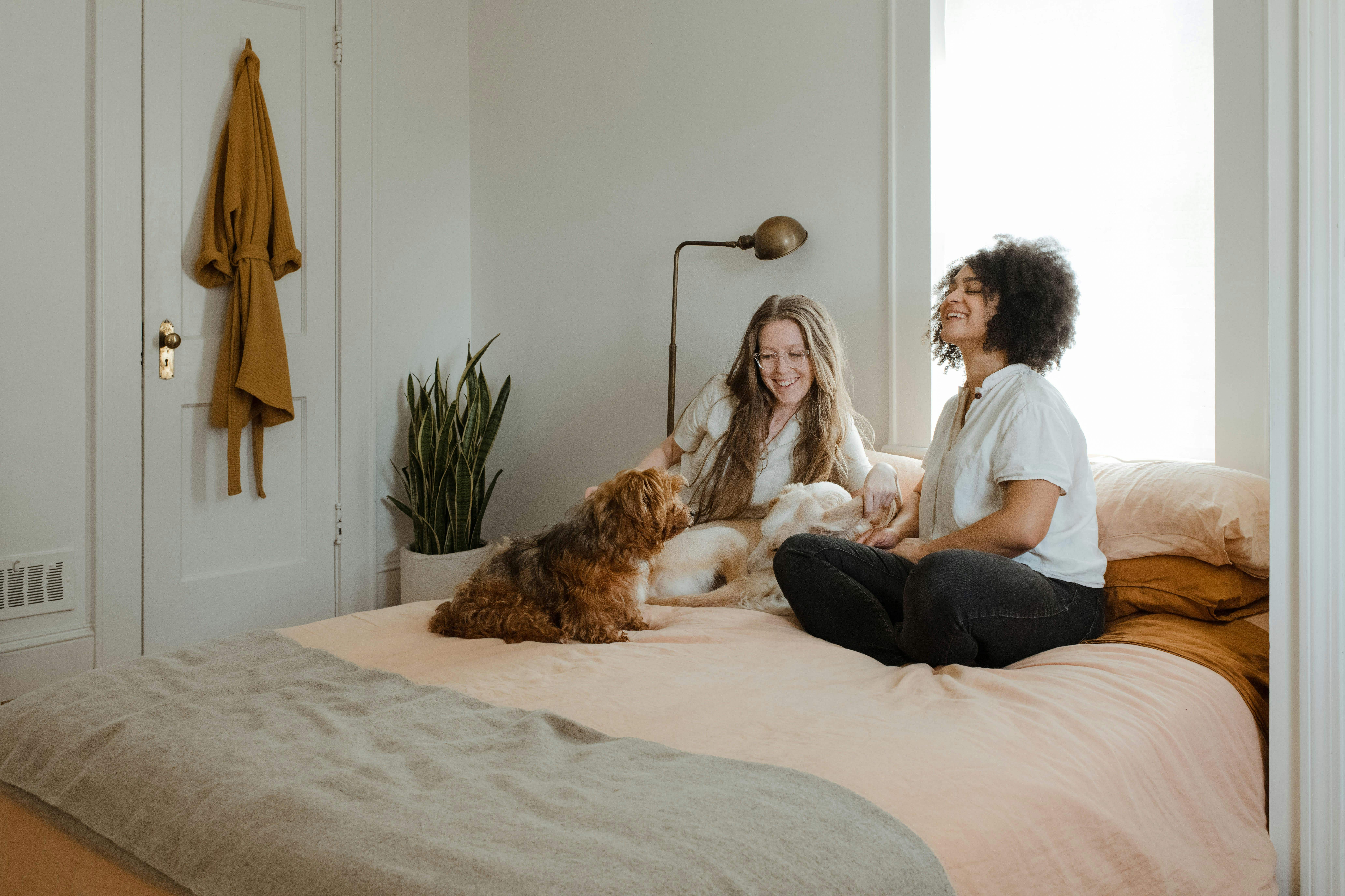 Two women, one white and one Black, sitting on a bed in a white room with two large dogs, smiling.