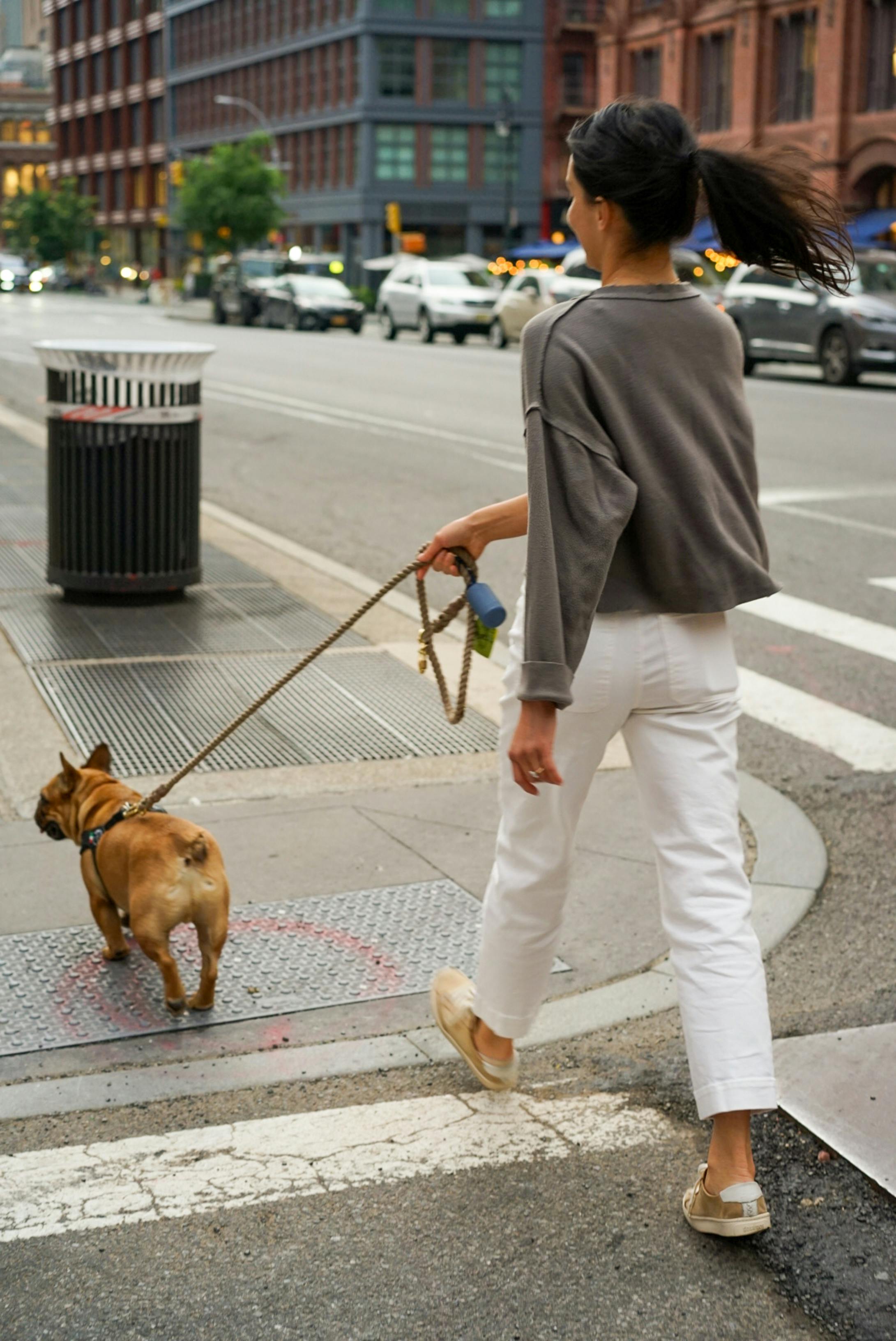 Woman in a city intersection crosses the street with a dog. She is photographed from behind so you see her back.